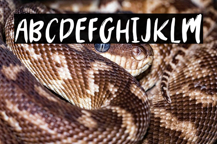 MYSTERY2019-Regular Example 2