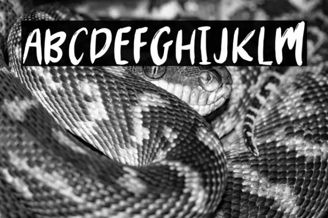 MYSTERY2019-Regular Font examples