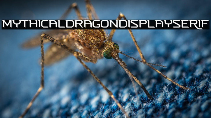 MYTHICALDRAGON Display Serif Example 2