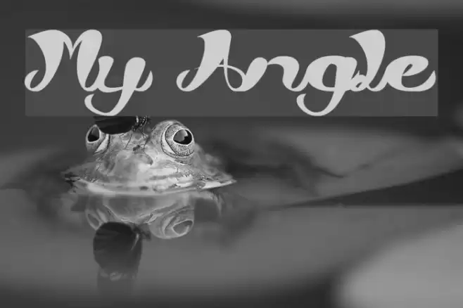 My Angle Font examples