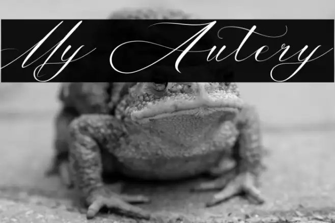 My Autery Example 1