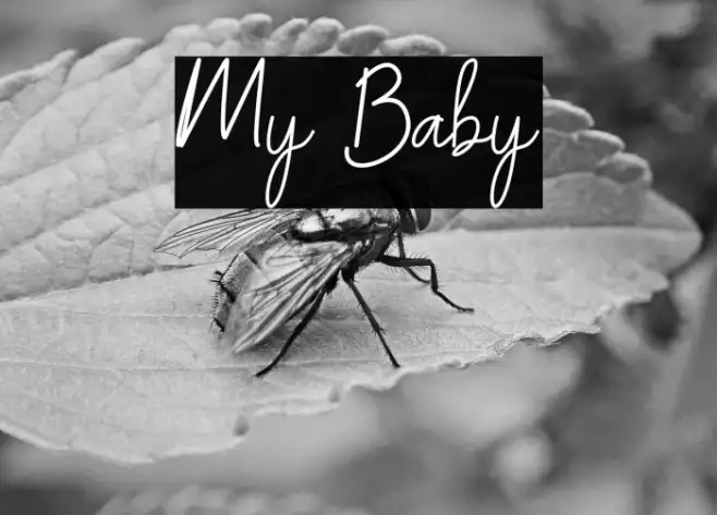 My Baby Example 2