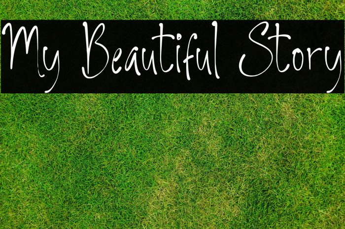 My Beautiful Story Example 3