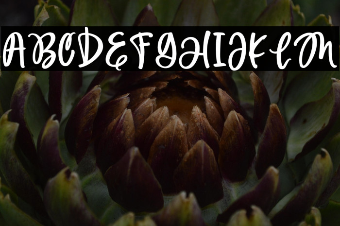 My Beloved Example 2