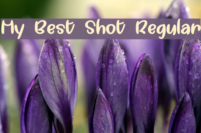 My Best Shot Regular Font examples