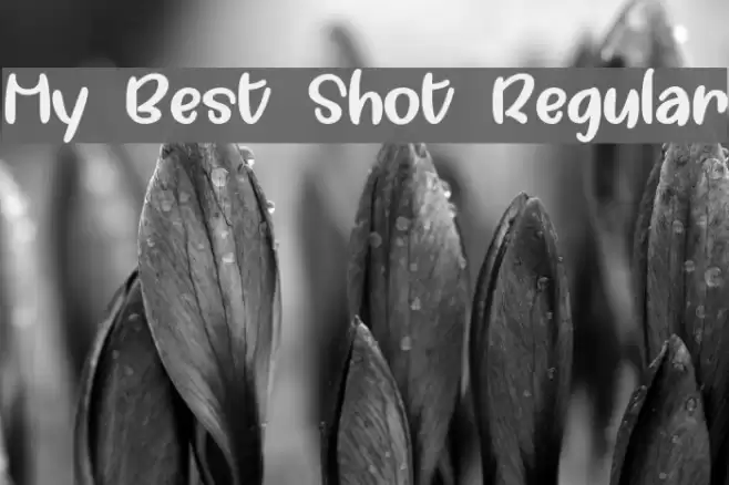 My Best Shot Regular Font examples