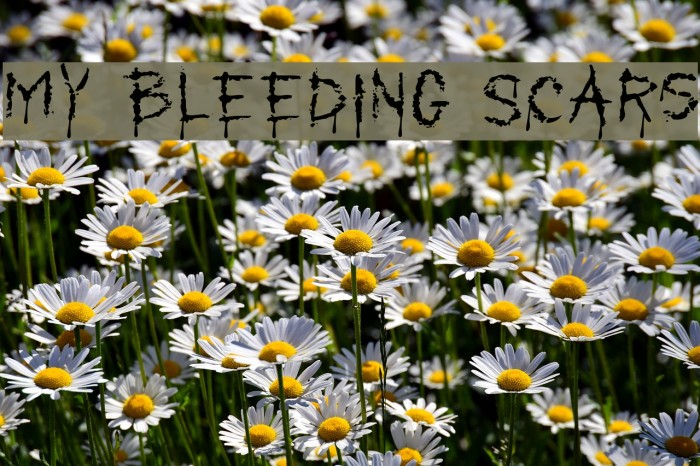 My Bleeding Scars Font examples