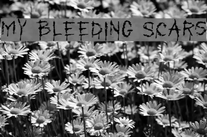 My Bleeding Scars Example 2