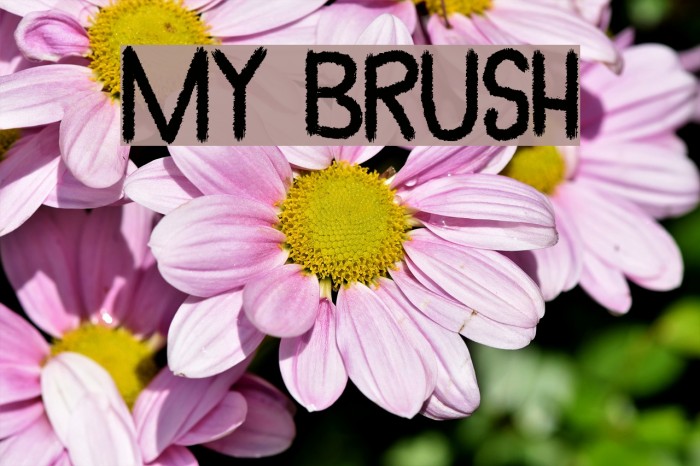 My Brush Font examples