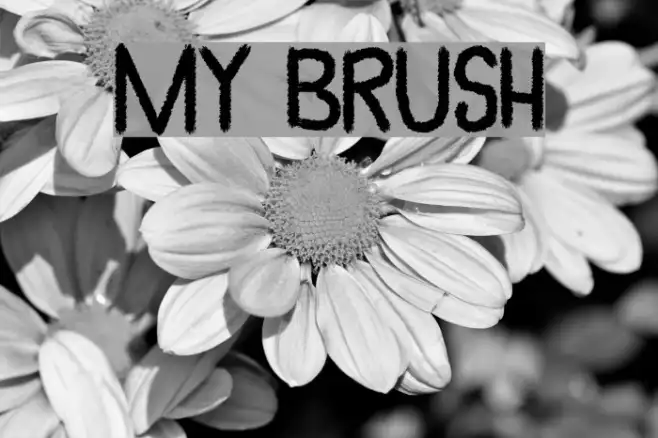 My Brush Example 2