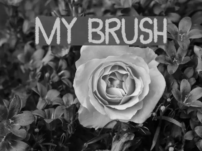 My Brush Example 3