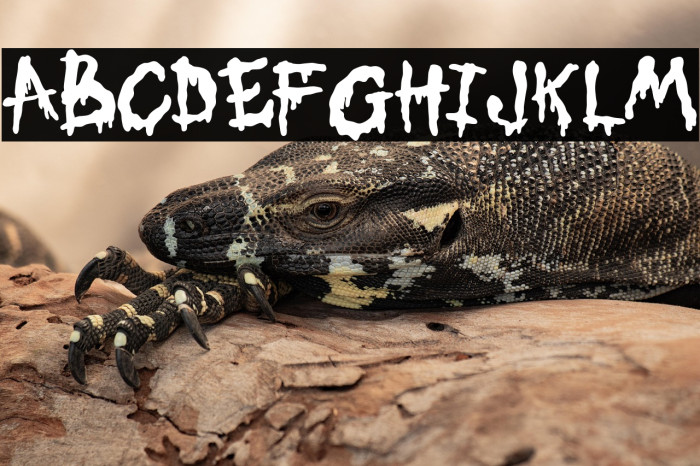 My Candy Black Example 2