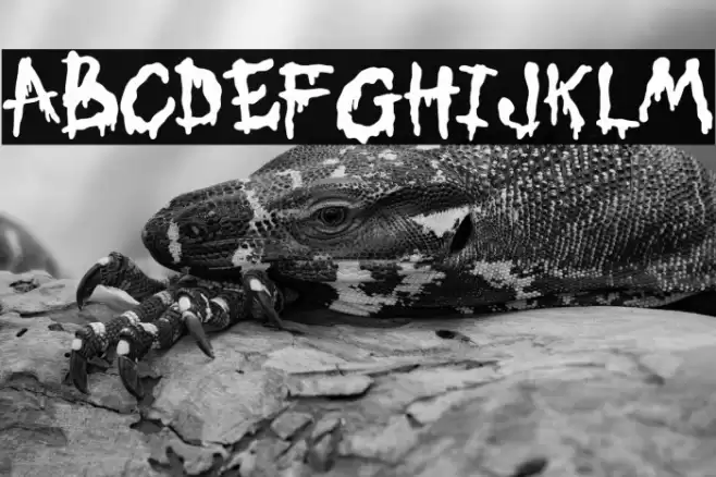 My Candy Black Fuentes examples