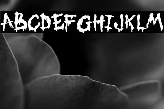 My Candy Black Fuentes examples