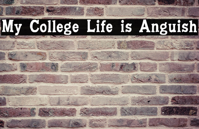 My College Life is Anguish Example 2
