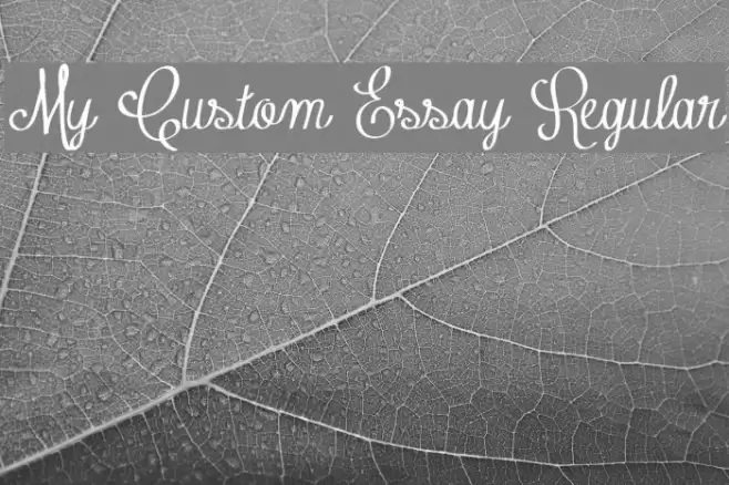 My Custom Essay Regular Font examples
