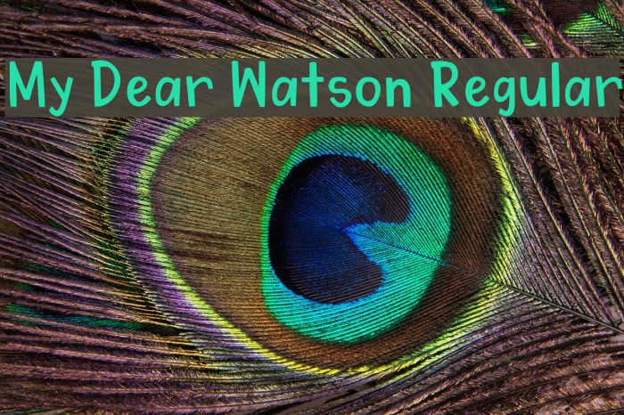 My Dear Watson Regular Font examples