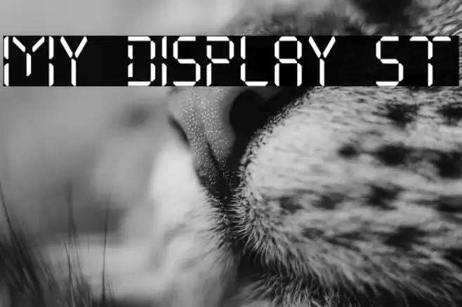 My Display St Font examples