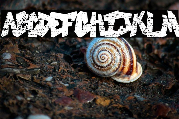 My Dutsky Art Graffiti Example 3