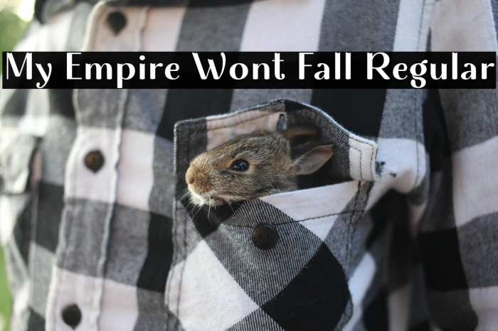 My Empire Wont Fall Regular Example 1