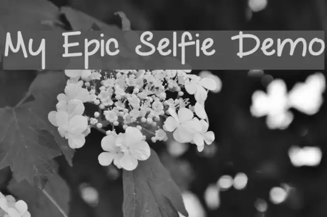 My Epic Selfie Demo Font examples