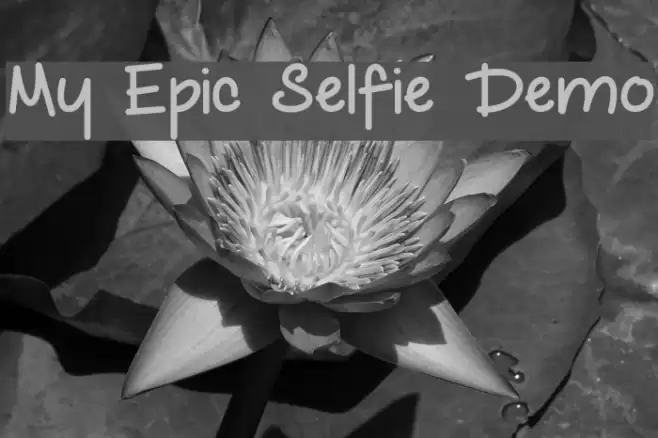 My Epic Selfie Demo Font examples