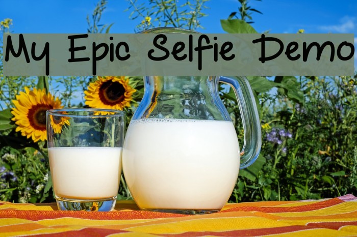 My Epic Selfie Demo Font examples