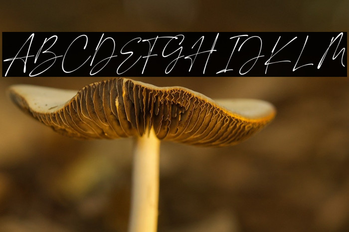 My Everything Example 1