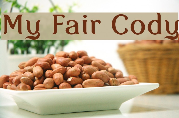 My Fair Cody Example 2