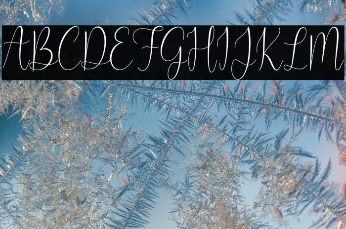 My Favorite Example 1