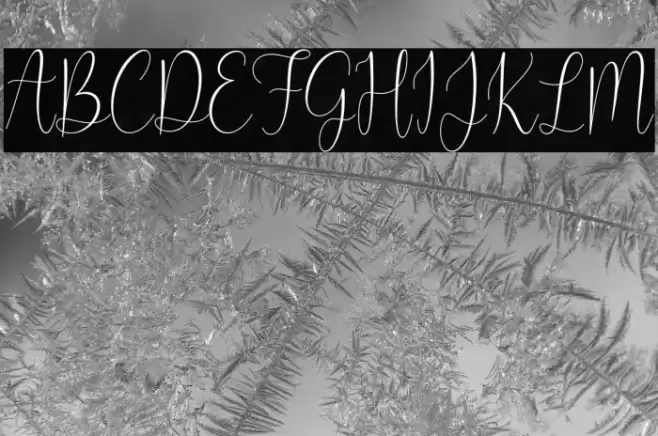 My Favorite Font examples