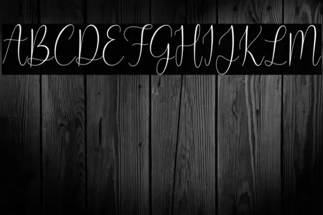 My Favorite Font examples