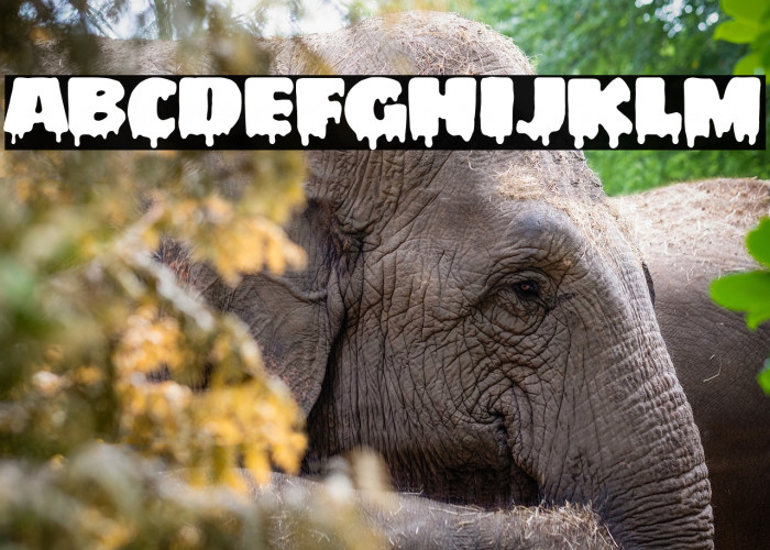 My Favourite Horror Example 2