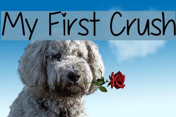 My First Crush Font examples