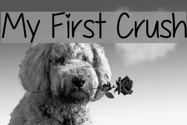My First Crush Font examples