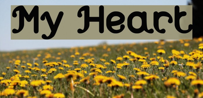 My Heart Font examples