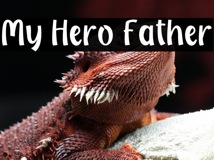 My Hero Father Example 1