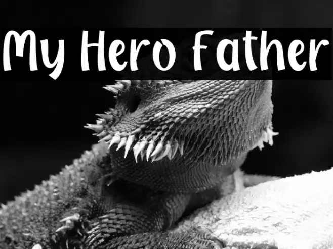 My Hero Father Example 1
