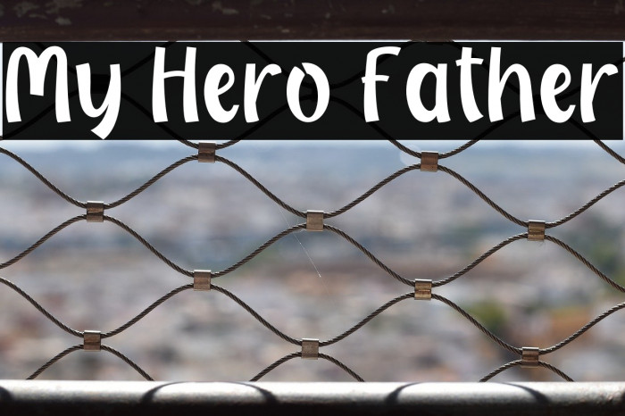 My Hero Father Example 2