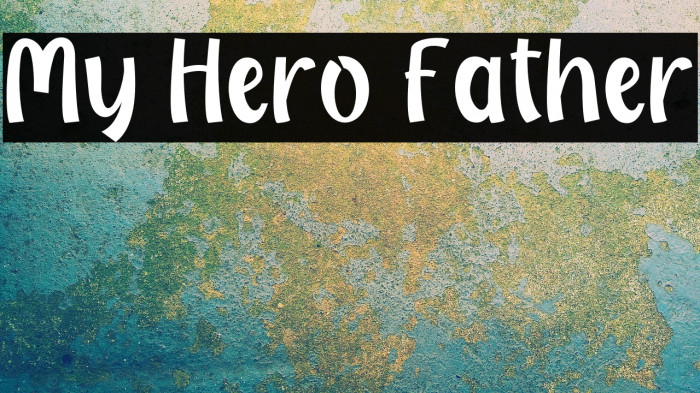 My Hero Father Example 3