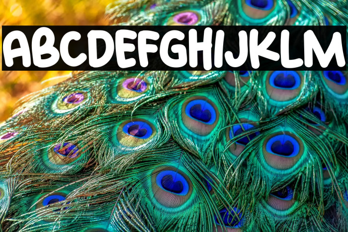 My Home Free Trial Regular Example 2