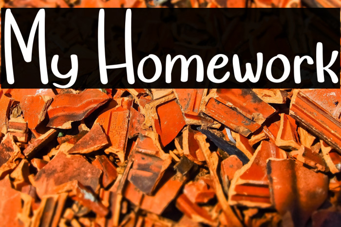 My Homework Example 2