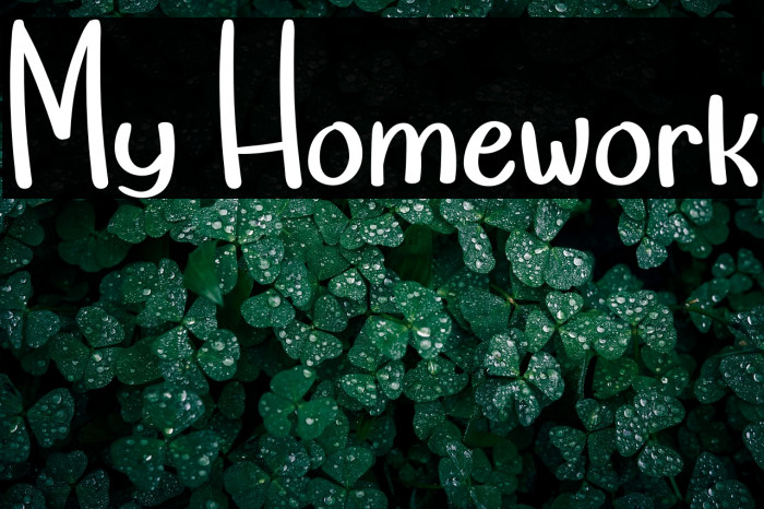 My Homework Example 3