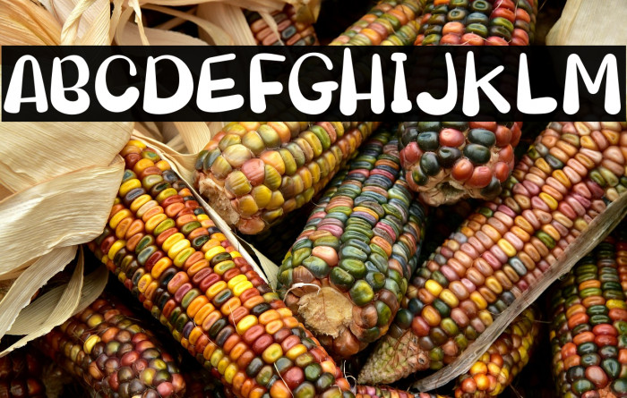 My Honey Loly Example 2