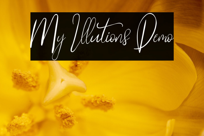 My Illutions Demo Example 1