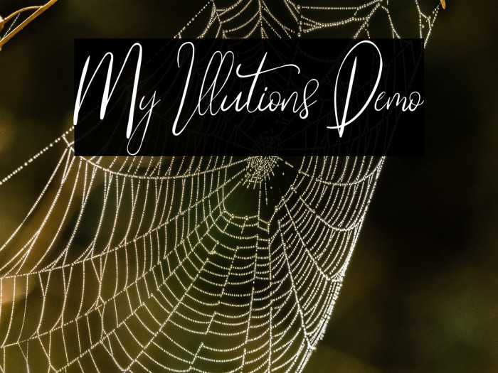 My Illutions Demo Example 2