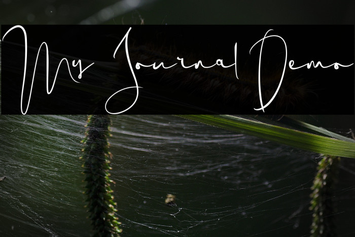 My Journal Demo Fuentes examples