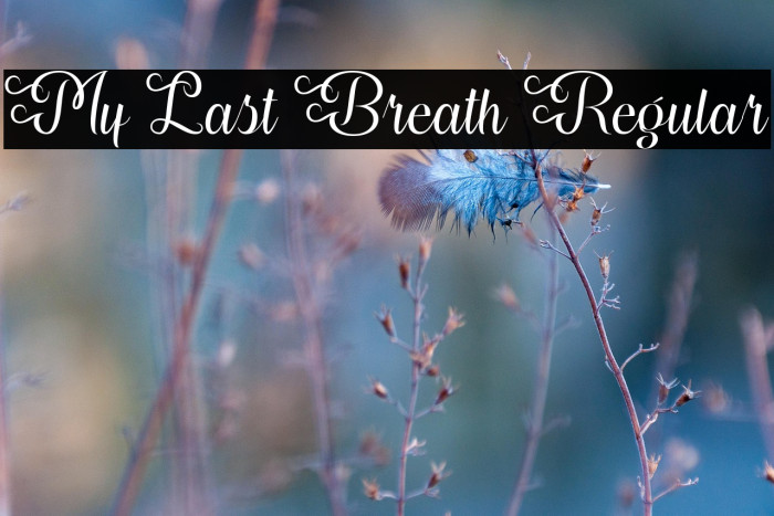 My Last Breath Regular Example 2