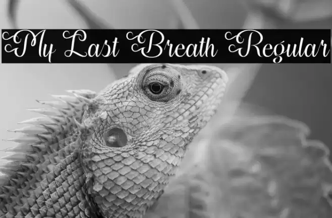 My Last Breath Regular Font examples
