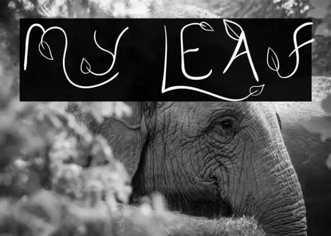 My Leaf Font examples